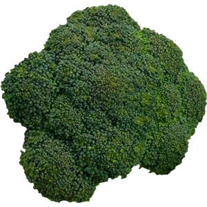 Broccoli PNG-72855